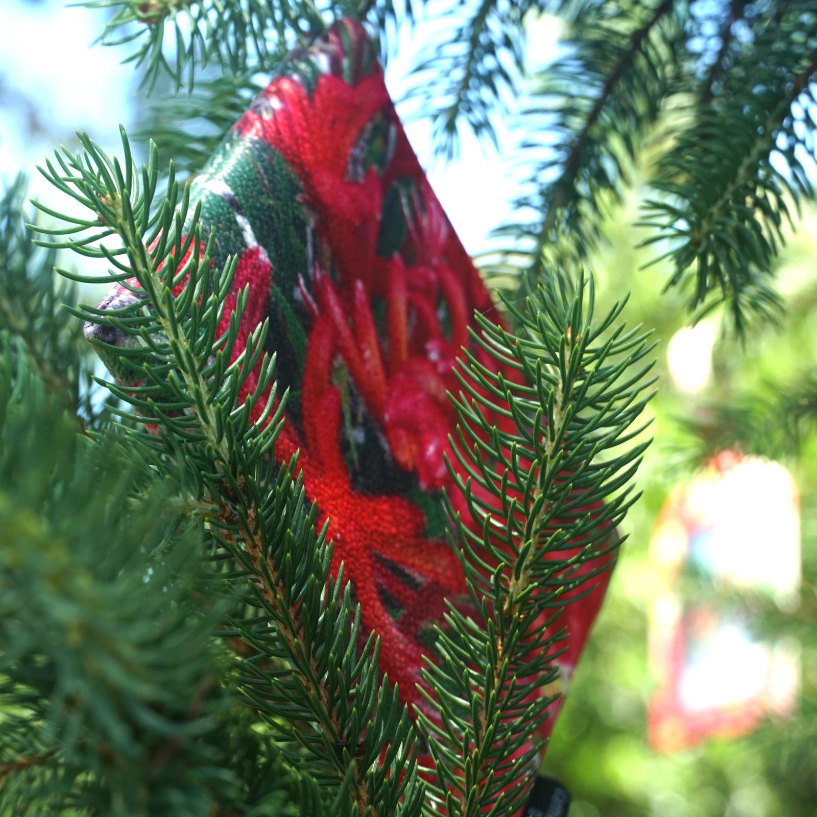 CMD Australian Photo Collection